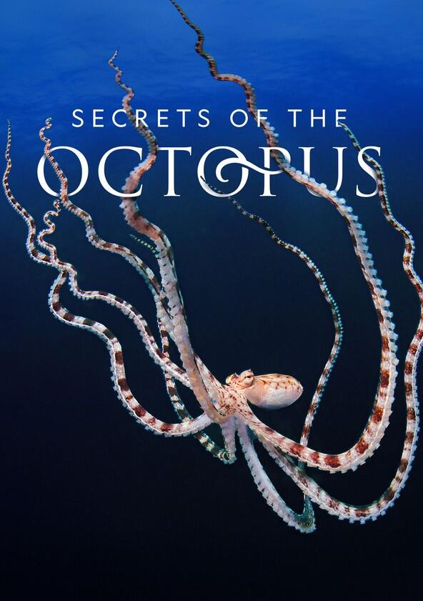 Secrets of the Octopus - Season 1