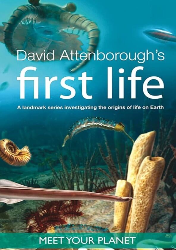 David Attenborough's First Life - Season 1