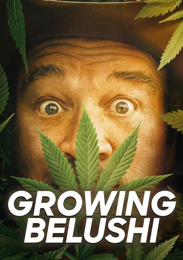 Growing Belushi - Season 2