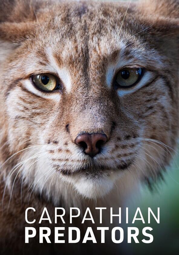 Carpathian Predators - Season 1