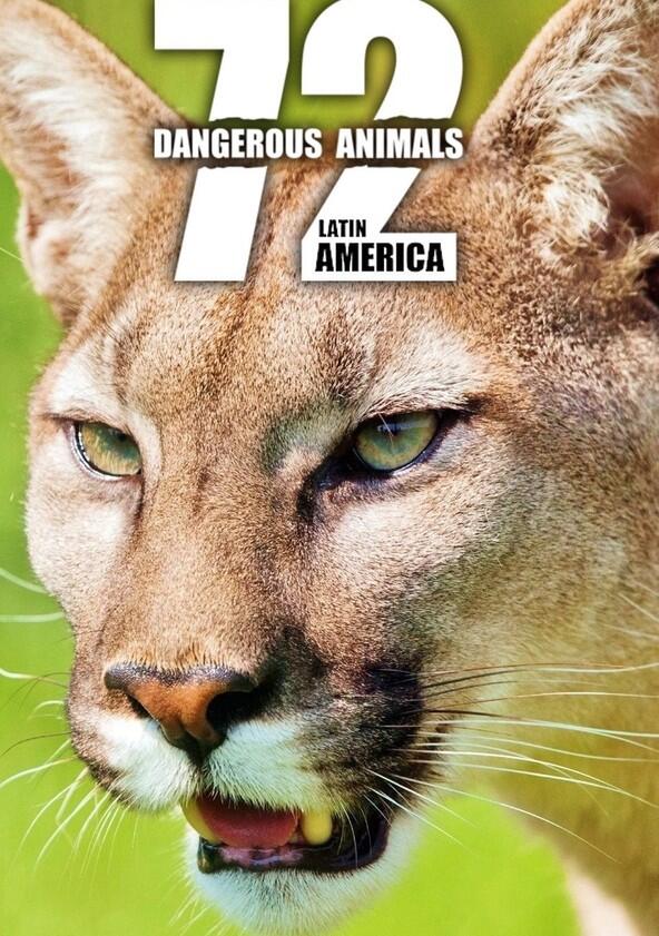 72 Dangerous Animals: Latin America - Season 1