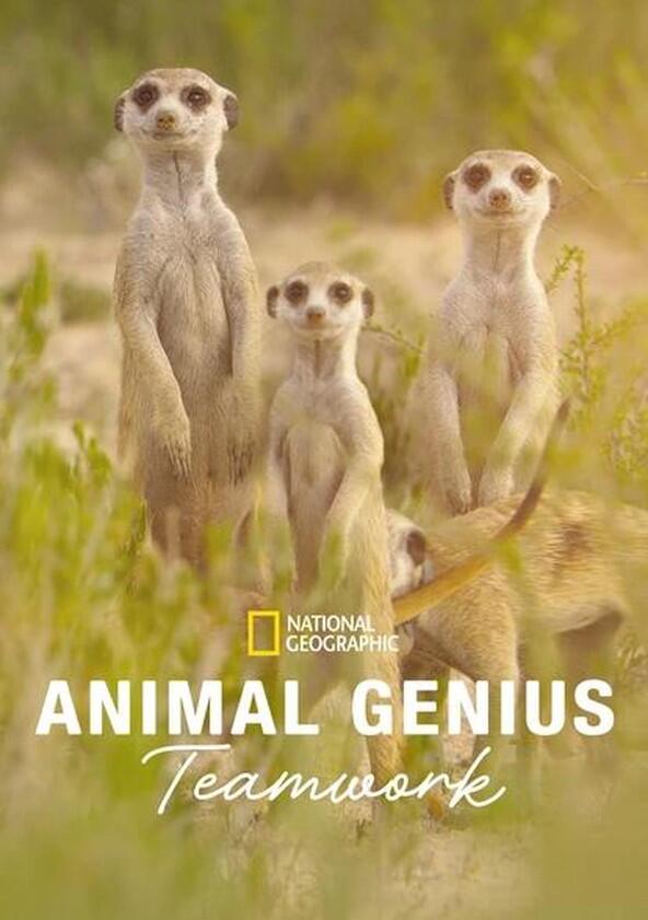 Animal Genius - Season 1