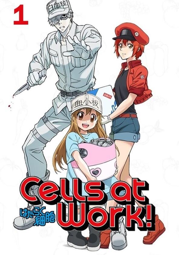 Cells at Work! - Season 1