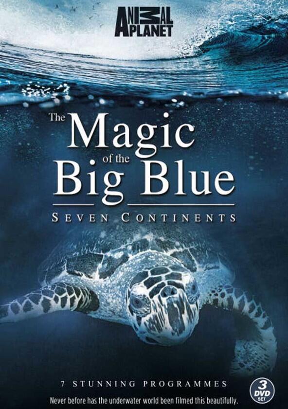 The Magic of the Big Blue - Season 1