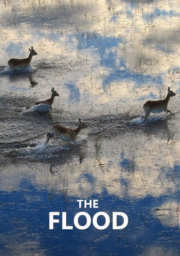 The Flood - Season 1