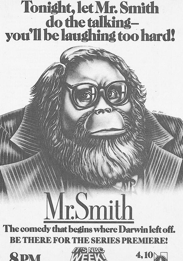 Mr. Smith - Season 1