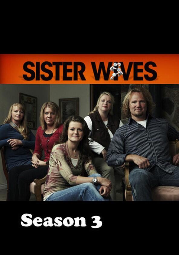 Sister Wives - Season 3