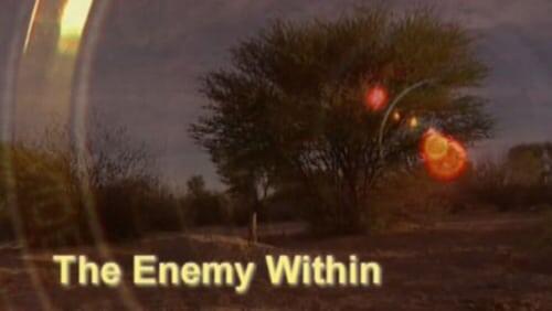 The Enemy Within