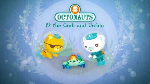 The Crab and Urchin