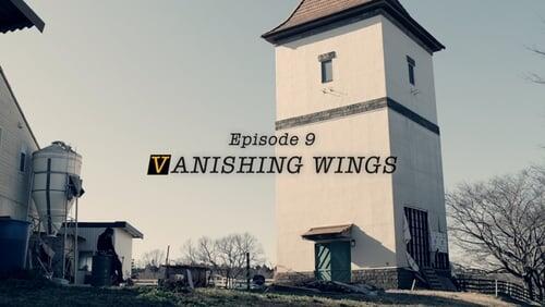 Vanishing Wings