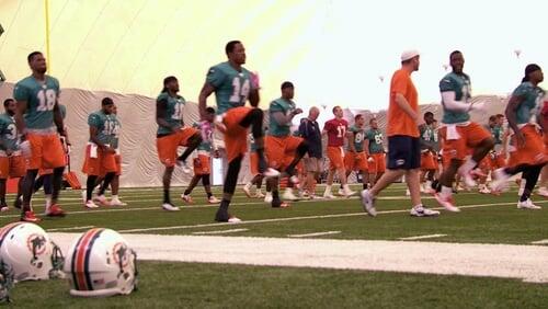 Training Camp with the Miami Dolphins #5