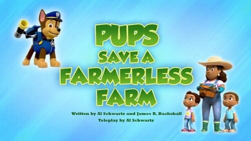 Pups Save a Farmerless Farm