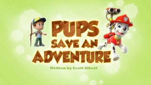 Pups Save an Adventure