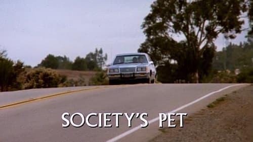 Society's Pet