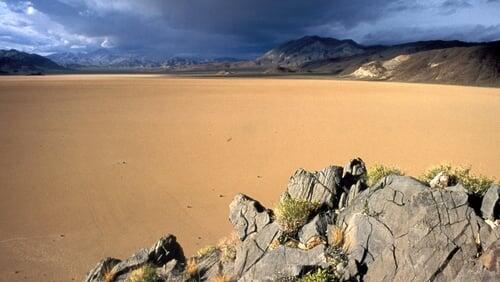 Life in Death Valley