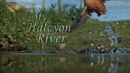 My Halcyon River