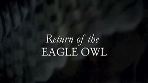 Return of the Eagle Owl