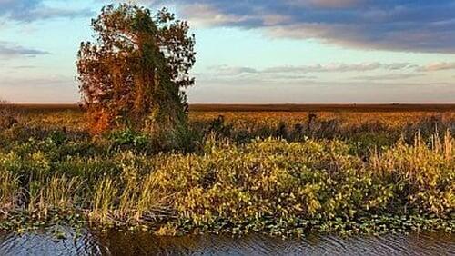 Everglades - To Hell and Back