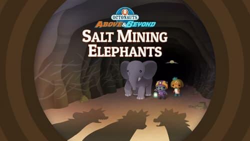 Salt-Mining Elephants