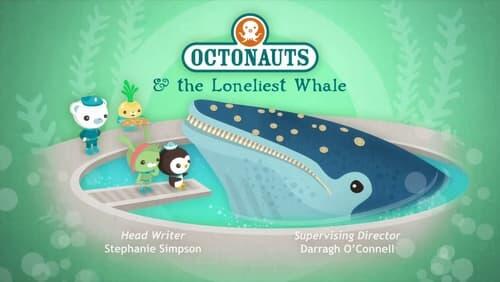 The Loneliest Whale