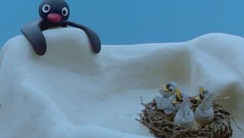 Pingu and the Birds' Mother