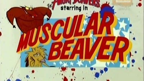 Muscular Beaver