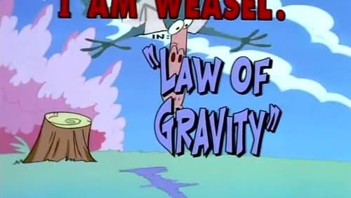 Law of Gravity