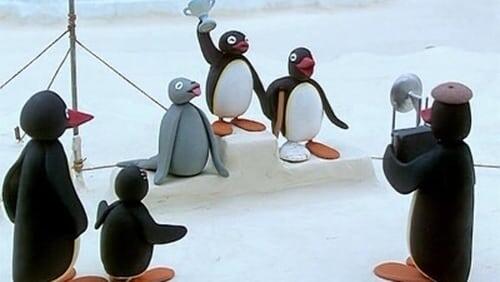 Pingu and His Cup