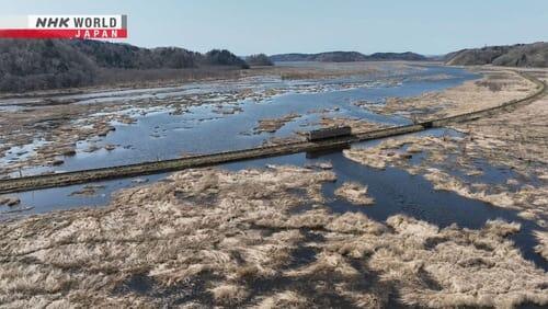 Spring Arrives in Eastern Hokkaido