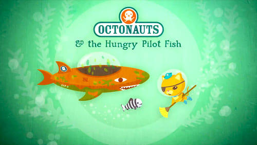 The Hungry Pilot Fish