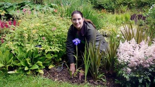 Irises and Ornamental Grasses