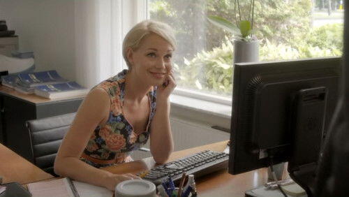 De derde partij De derde partij