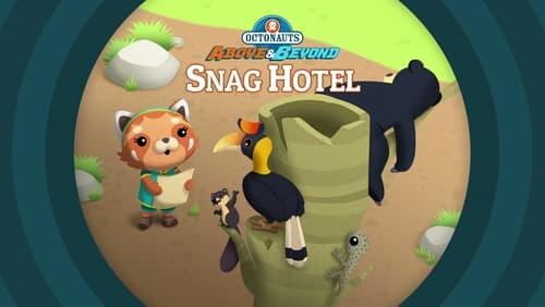 Snag Hotel