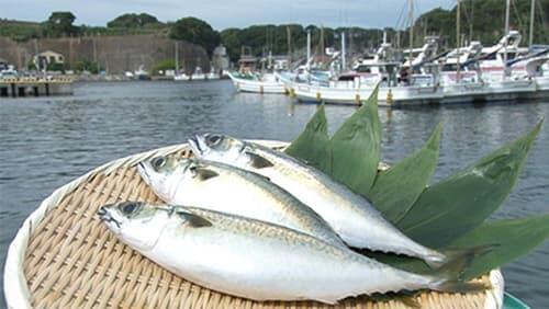 Saba (Mackerel)