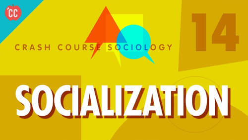 Socialization