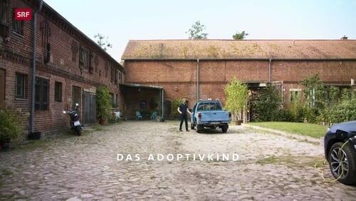 Das Adoptivkind