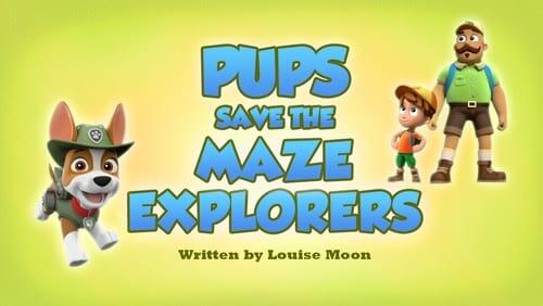 Pups Save The Maze Explorers