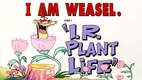 I.R. Plant Life