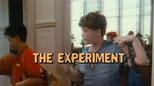 The Experiments