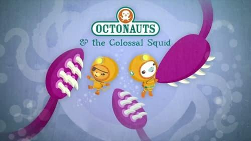 The Colossal Squid