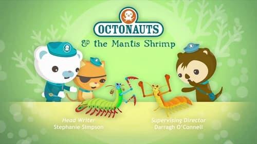 The Mantis Shrimp