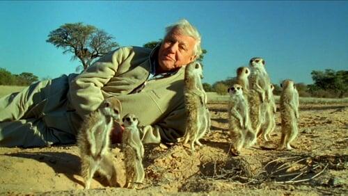 Attenborough's Life Stories: Part Two - Understanding the Natural World