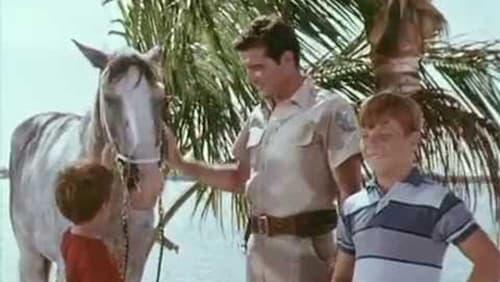 Flipper and the Horse Thieves