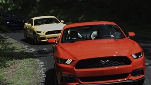 Ford Mustangs