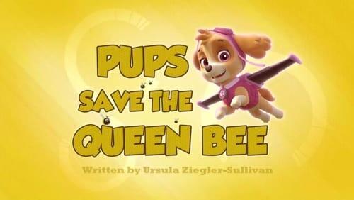 Pups Save the Queen Bee