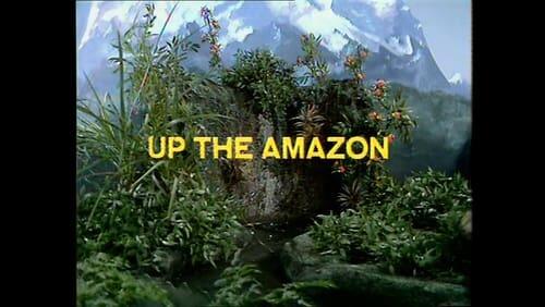 The Amazon