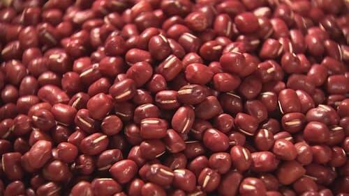 AZUKI BEAN