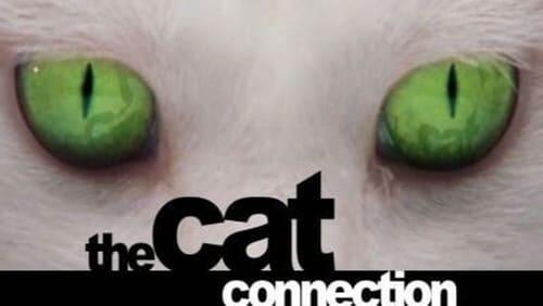 The Cat Connection