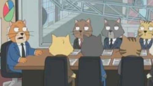 Cat Staff Meeting