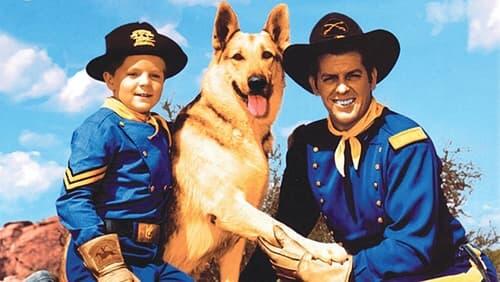 Rin Tin Tin and the Missing Heir